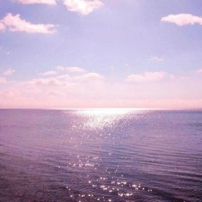 金沙娱场城官网入口网址下载